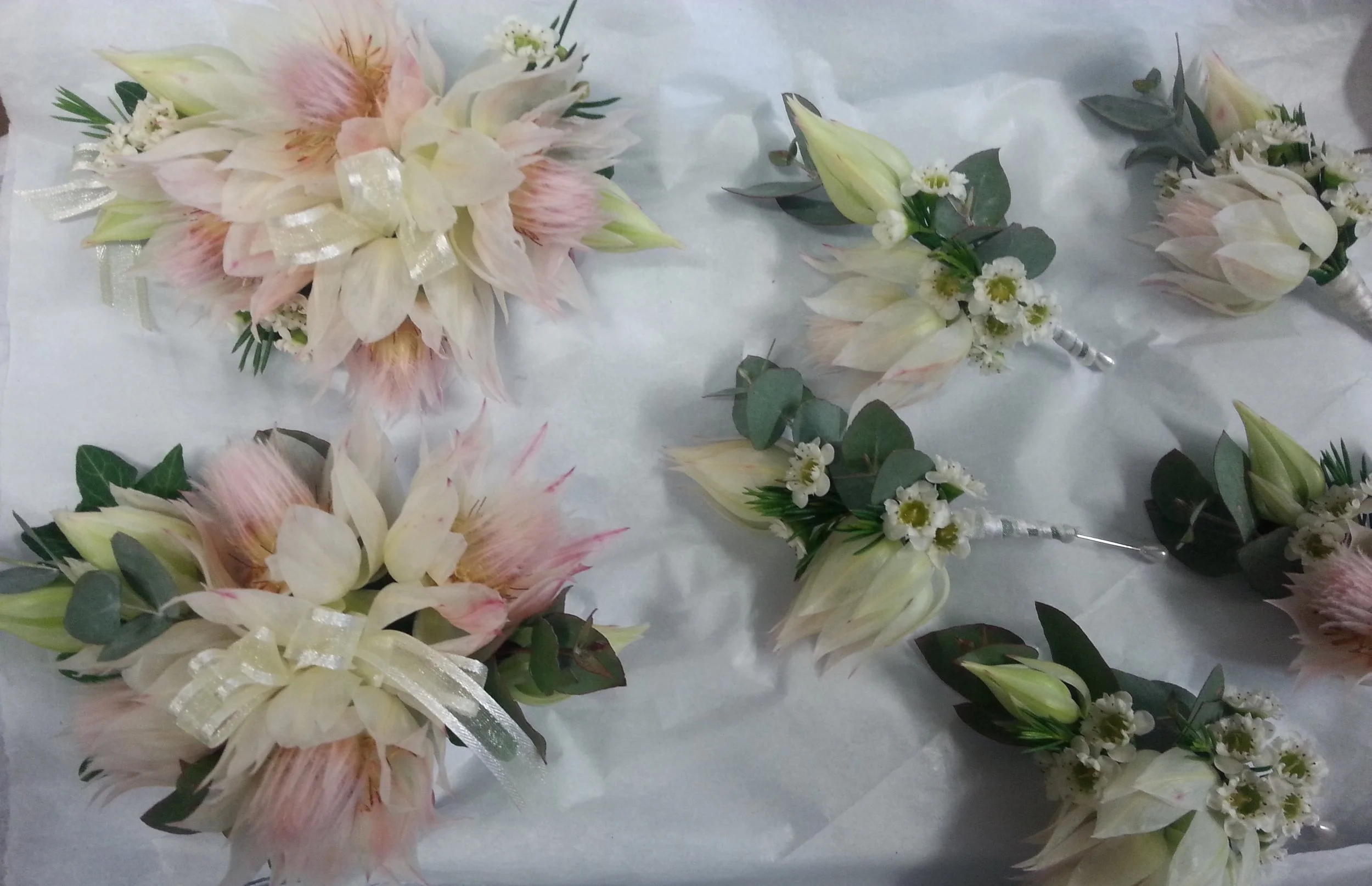 20150919_160439.jpg