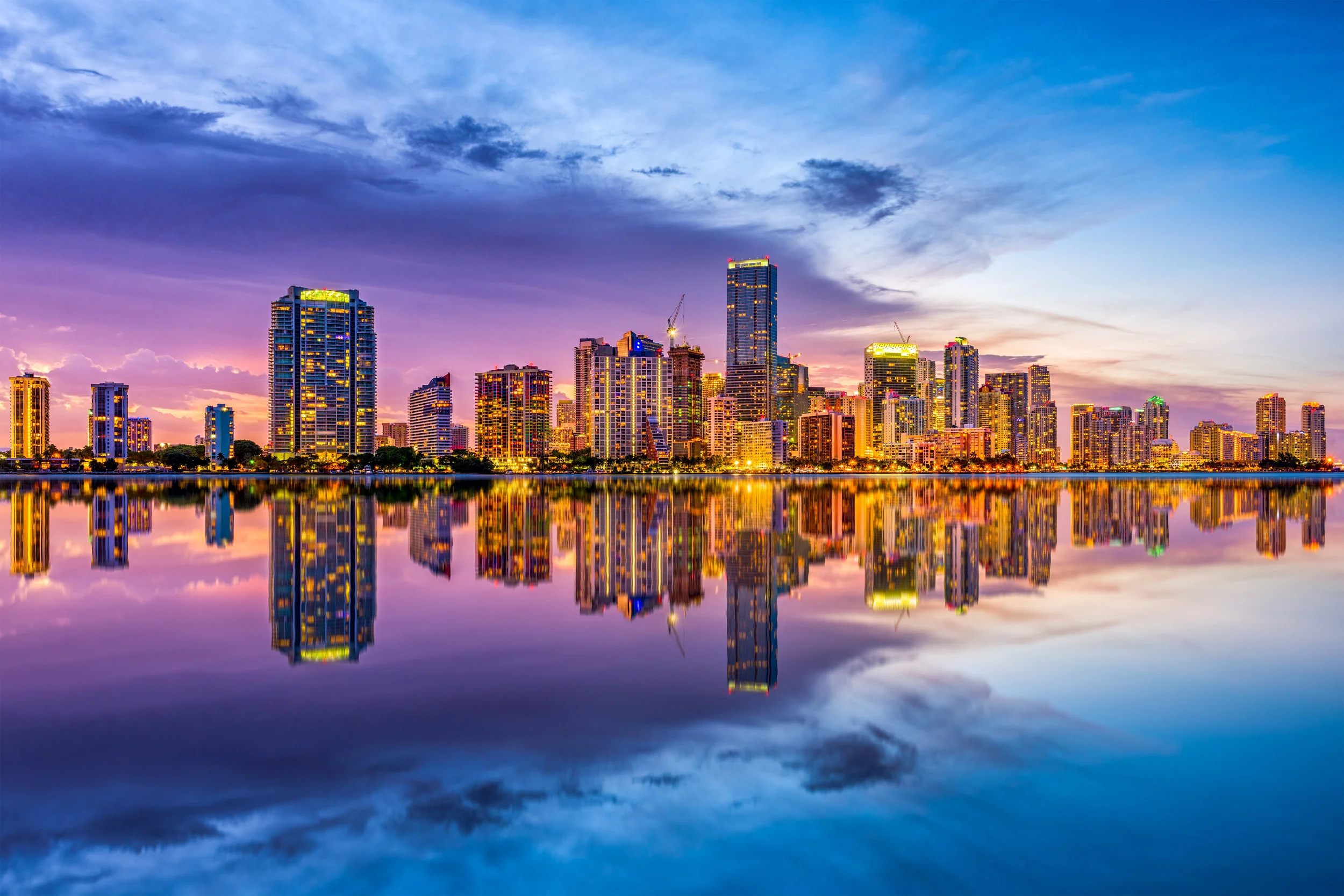 Miami Skyline At Night.jpg