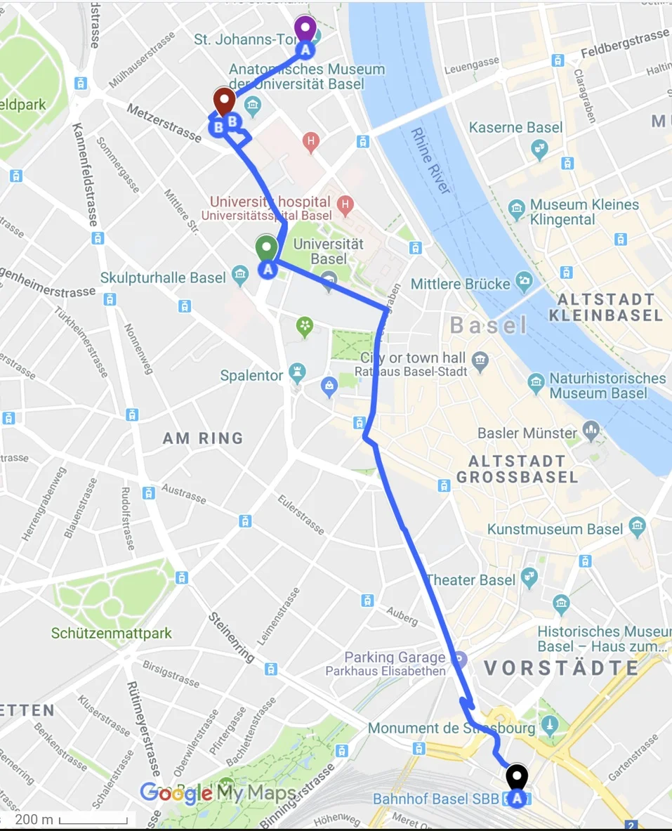 plan_ypf_5.jpg