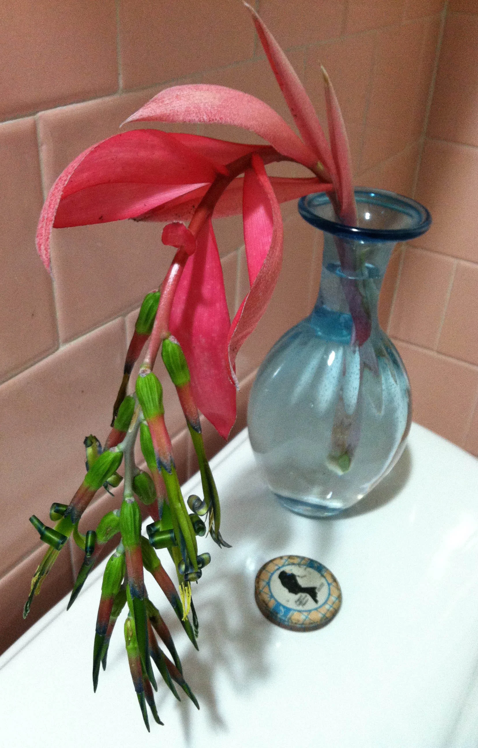BathroomBlueVase.jpg