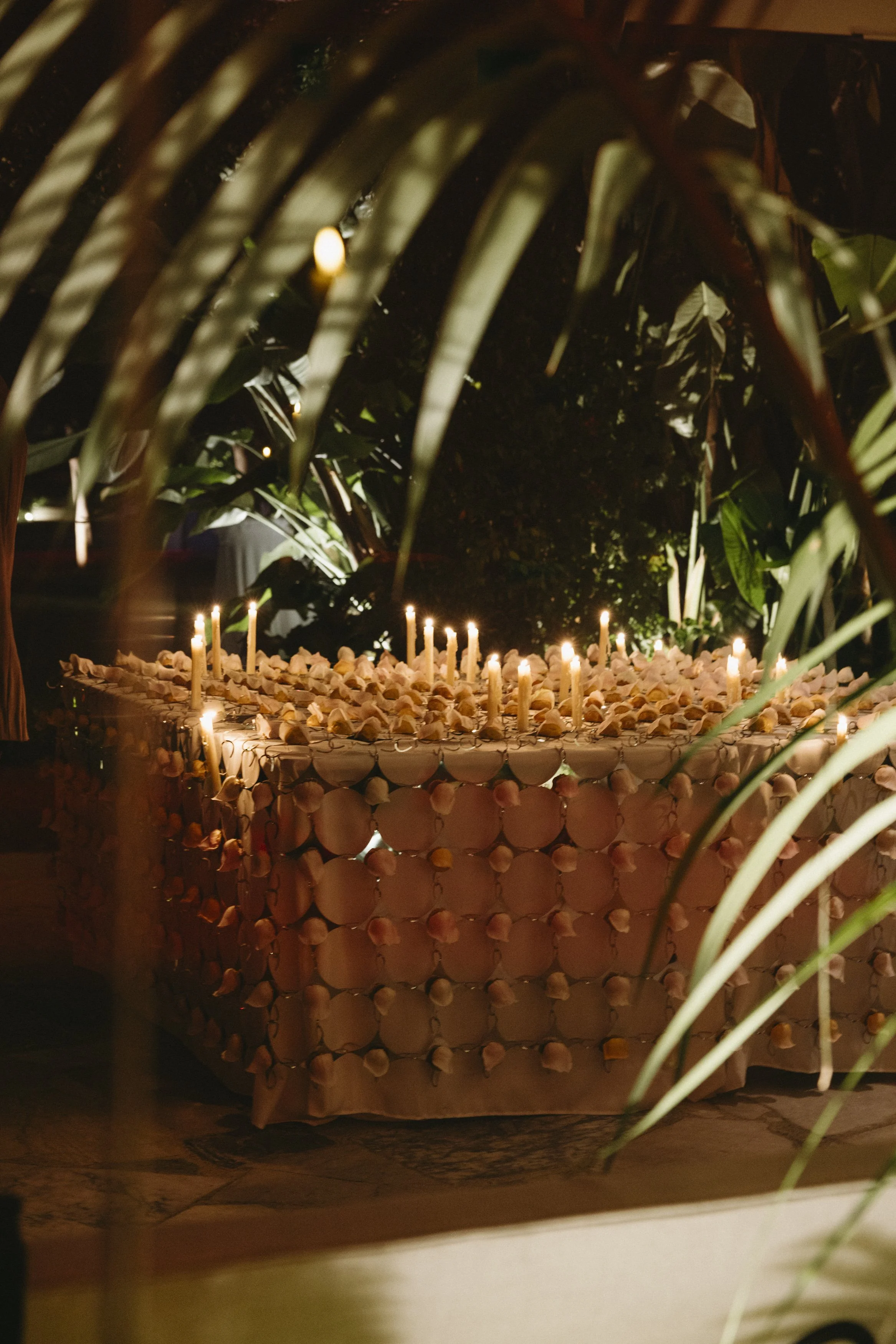 MWS Holiday Soiree 2025-5699.jpg