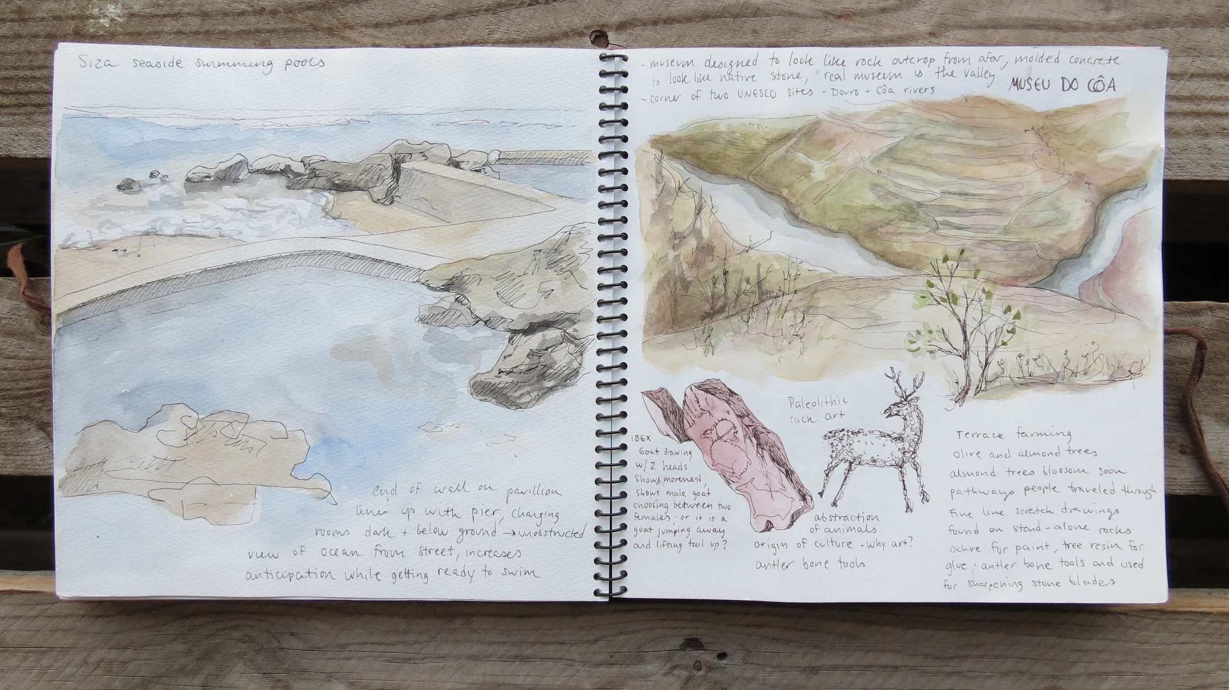 Sketchbook14.jpg