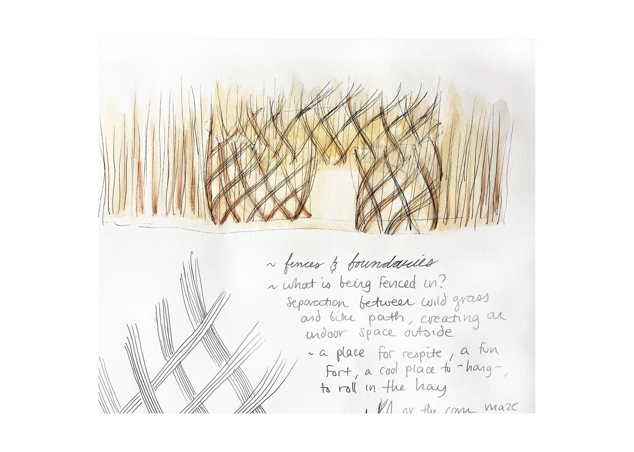 Field Work — Jasmine Gutbrod