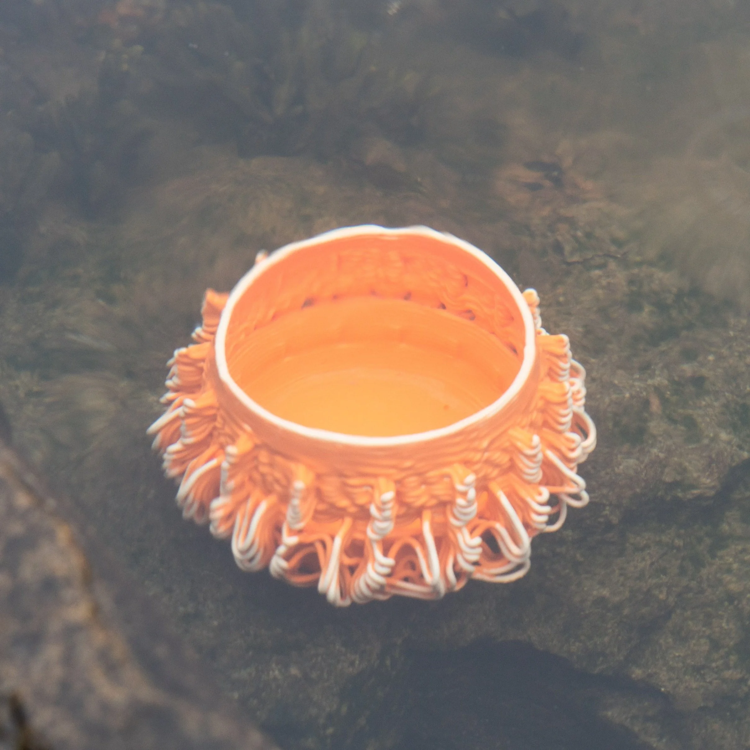 Gutbrod_Tidepool-1-2.jpg
