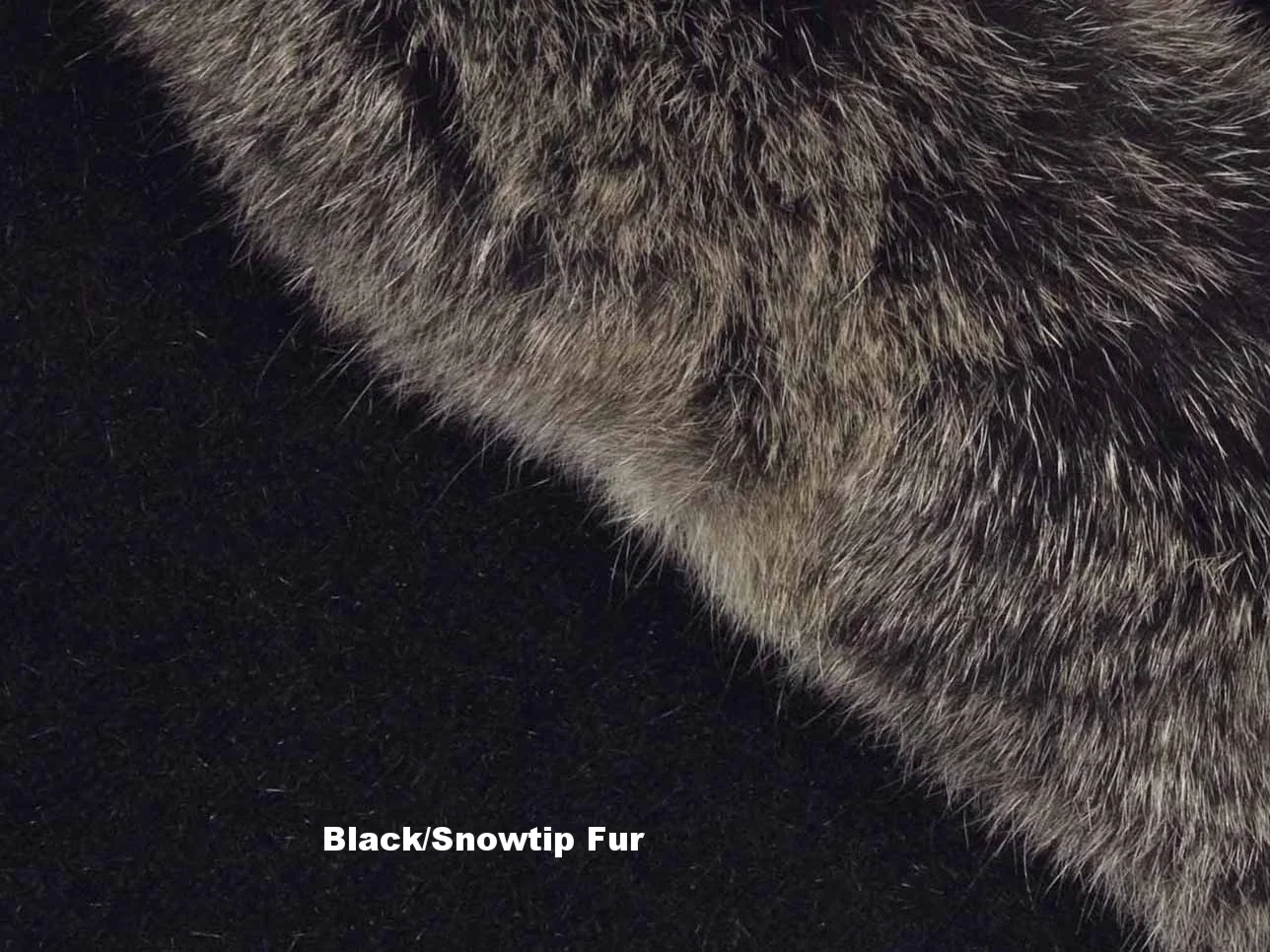 black snowtip fur.jpg