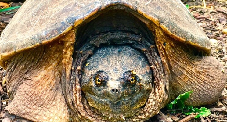 Death, Cake & The Traveling Sales Professionals Head Back to The Office