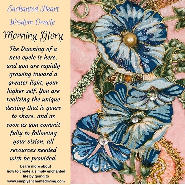 I designed this Oracle card today, and Morning Glory came out to play. It is time for us to awaken to our true destiny, this is the time we have been preparing for. Like the Morning Glory, it can sometimes be difficult to germinate unless conditions 