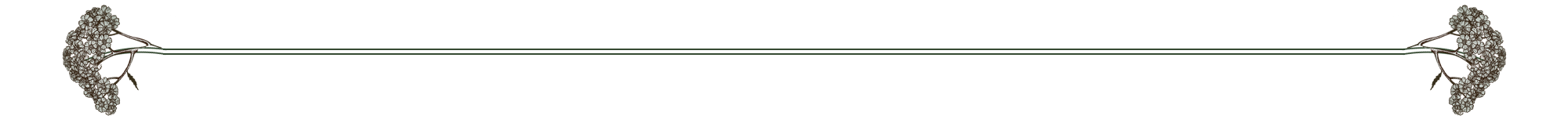 Lisa Divider 2.png