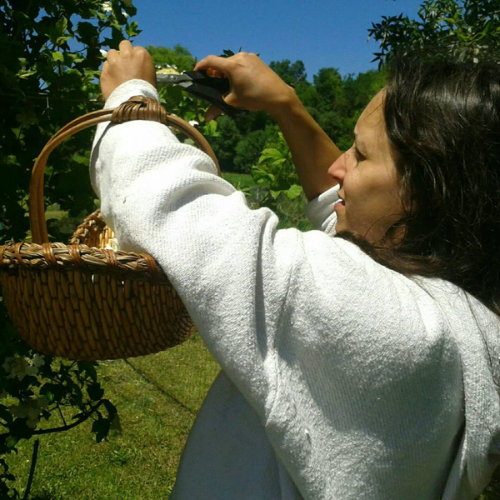 Gathering herbs