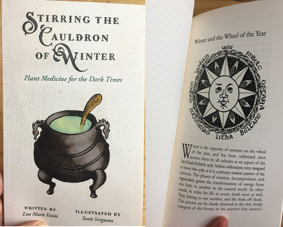 cauldron book for webpage.jpg