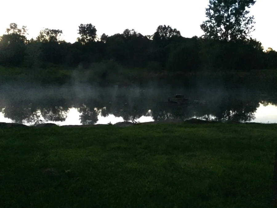 foggy pond.jpg