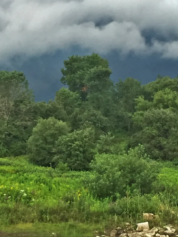 storm.jpg
