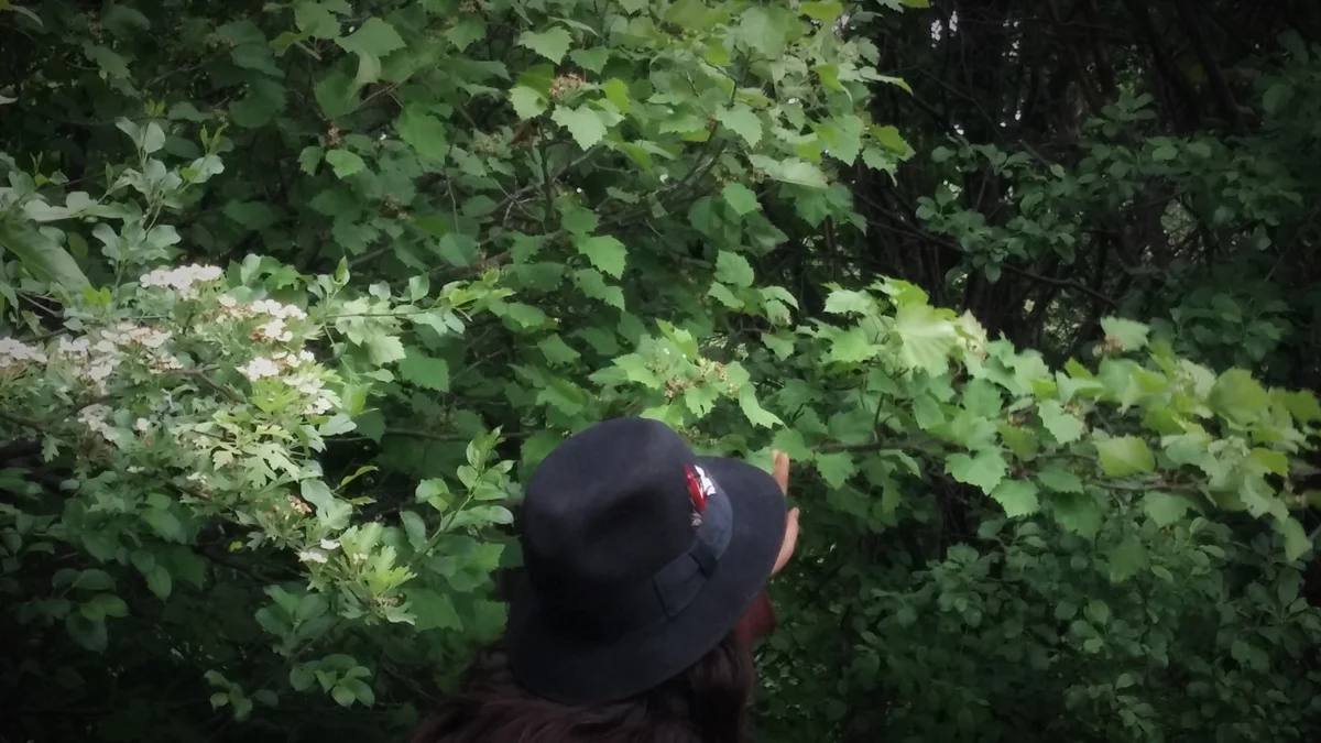 me with hat and bushes.jpg