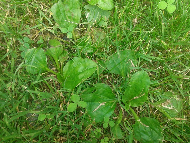 2013-07-10_17_53_07.jpg