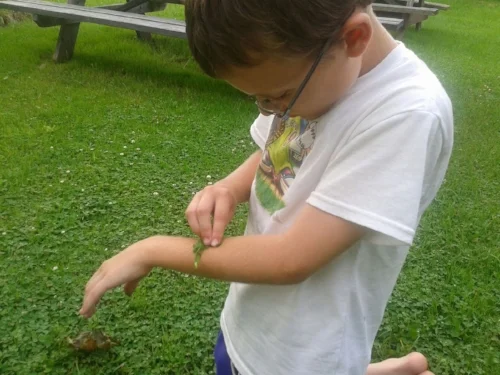 2013-07-10_18_05_53.jpg