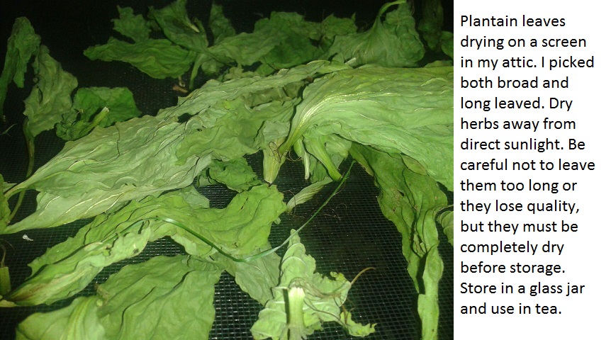 2013-07-10_20_55_03.jpg