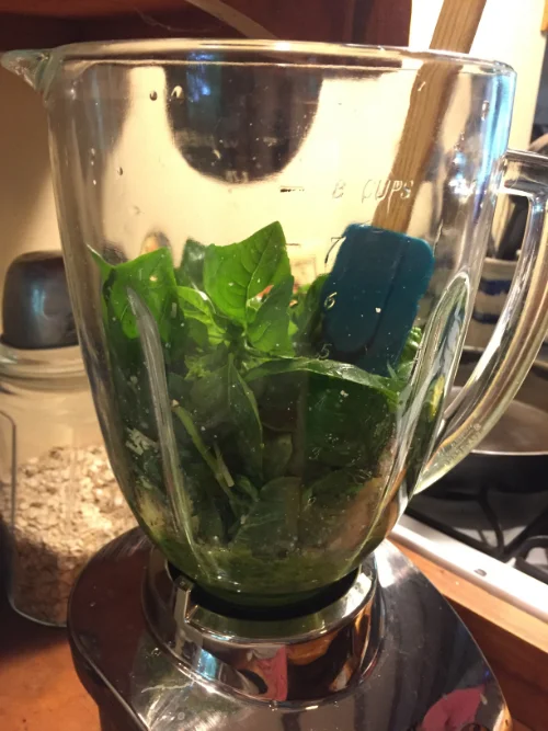 BasilicoSweet Basil Magick — The Root Circle