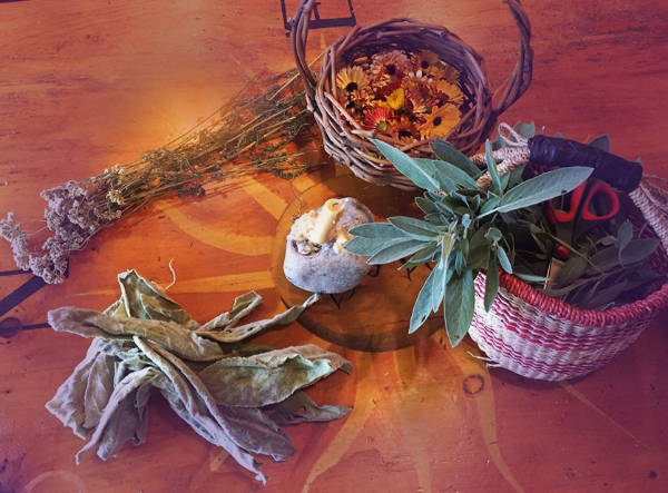 table of herbs.jpg