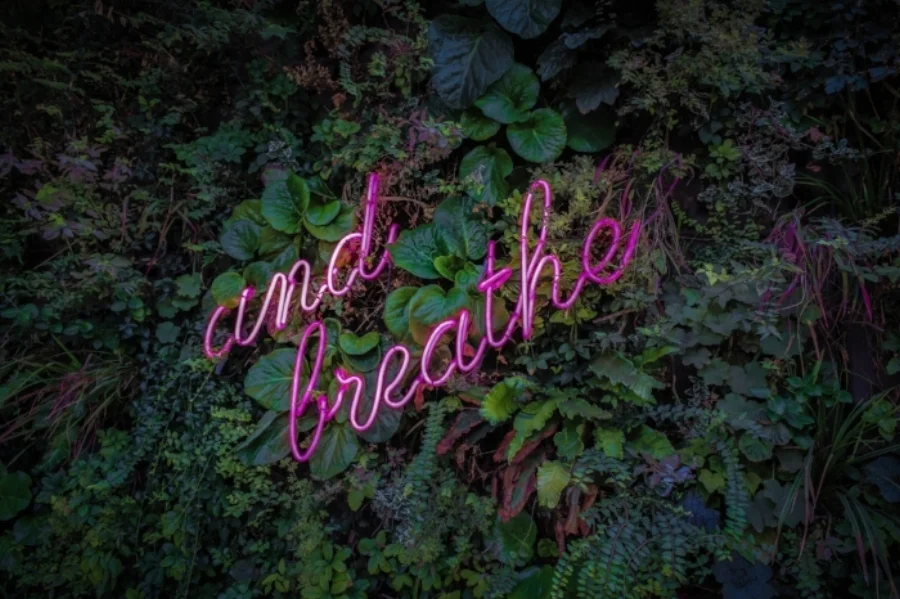 victor-garcia-1057436-unsplash.jpg