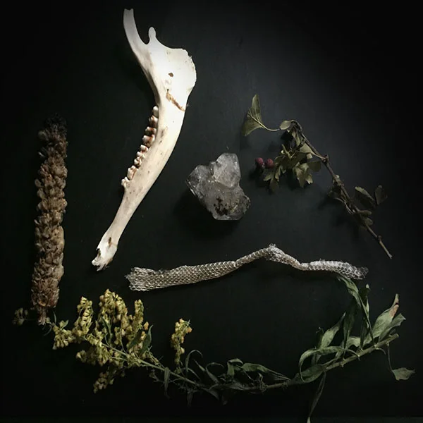 ancestors black background.jpg