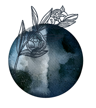 moon and flower.png