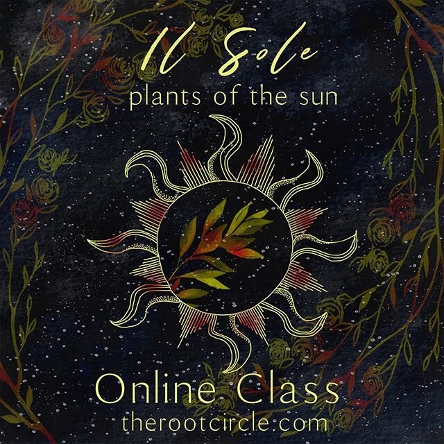 🌞il sole: plants of the sun🌞
: online class:
Register now, start anytime and take as long as you need to complete the course.
This includes 2.5 plus hours of video lessons and 8 downloadable pdf&rsquo;s.
Topics include:
.
The basic nature of the Su