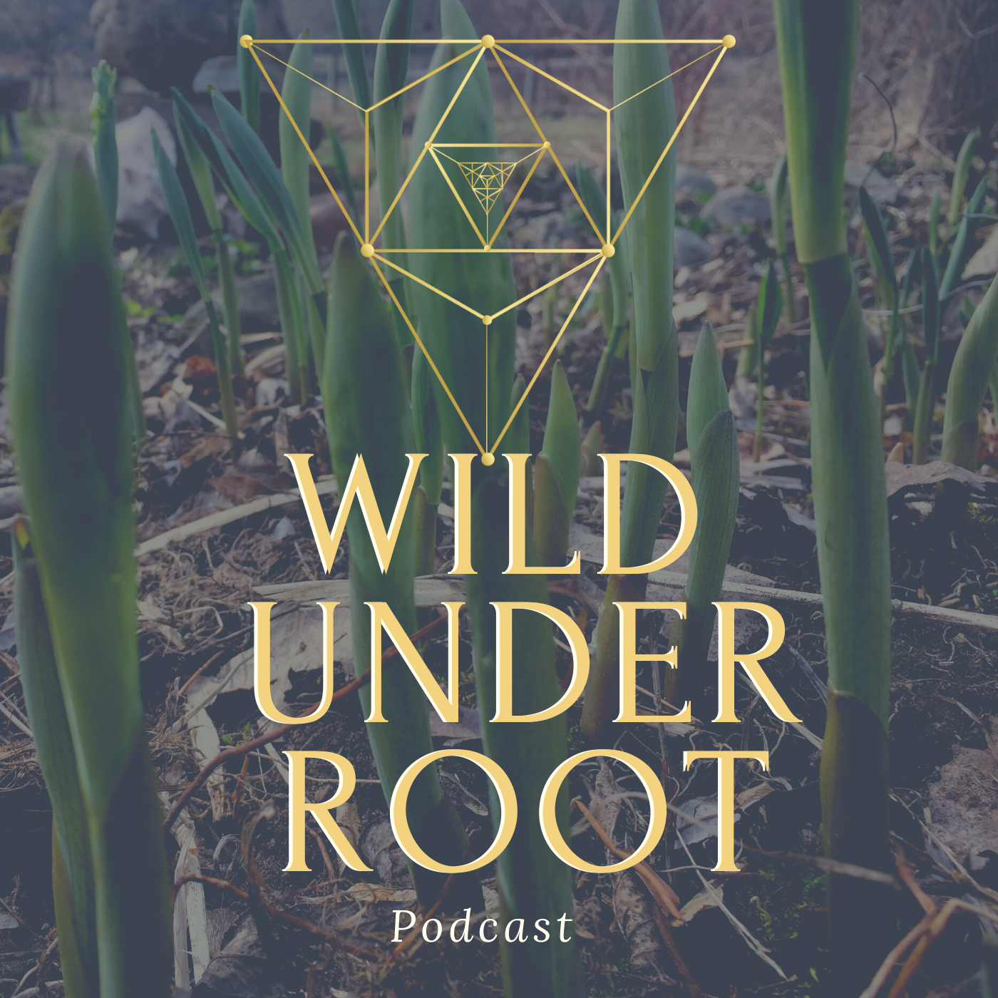 Wild Under Root