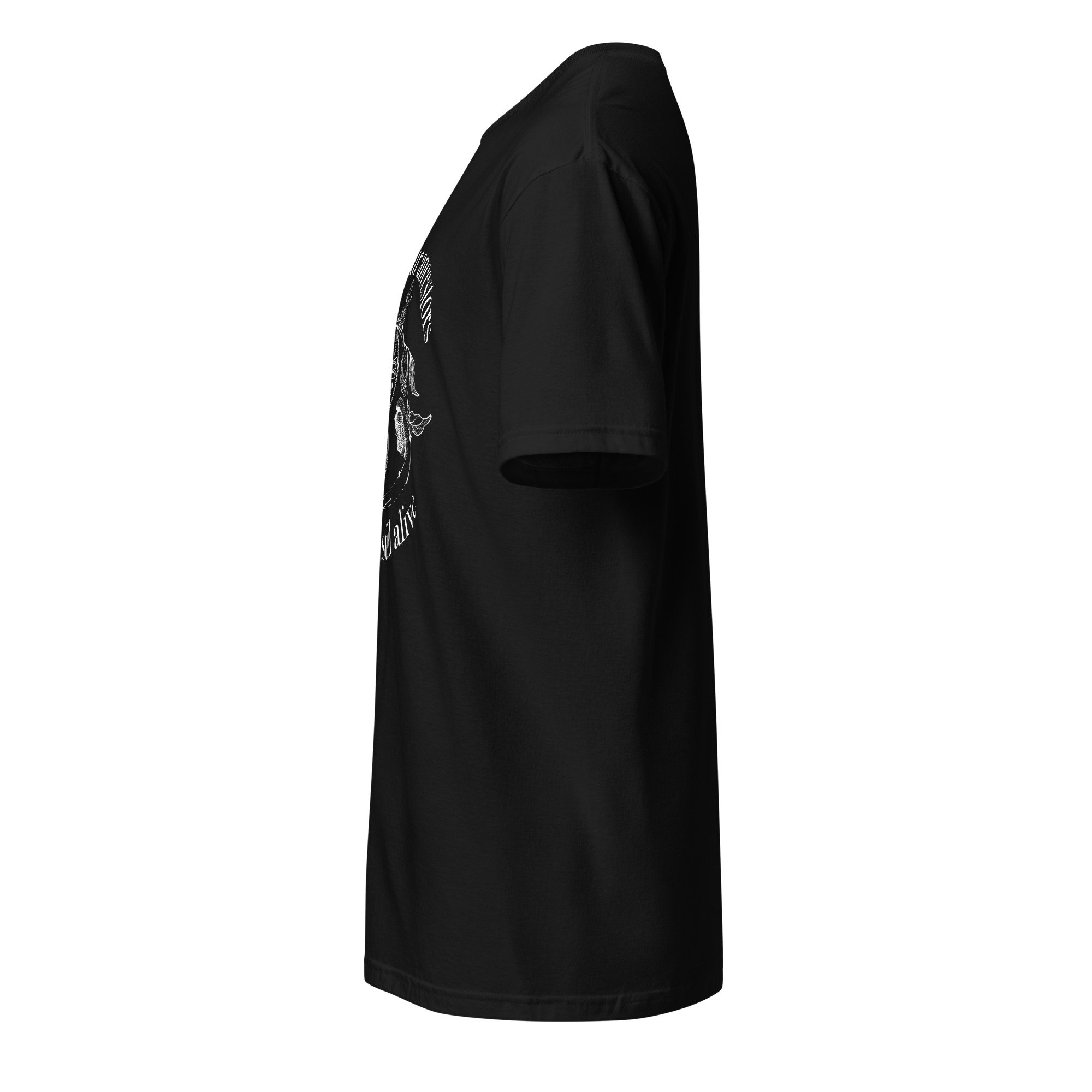 unisex-basic-softstyle-t-shirt-black-left-67a27dd9daa4c.jpg