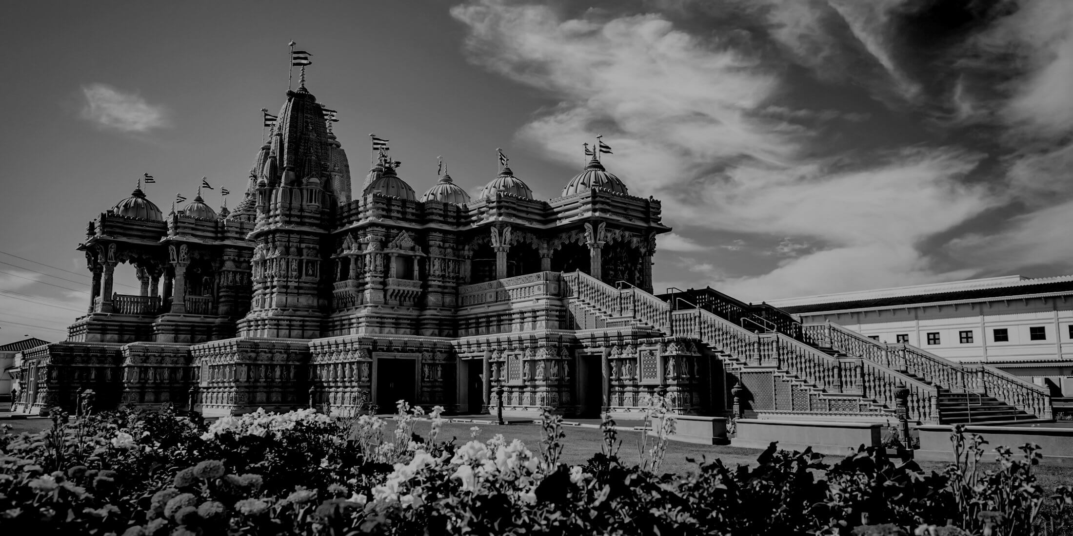 banner-1-bw.jpg