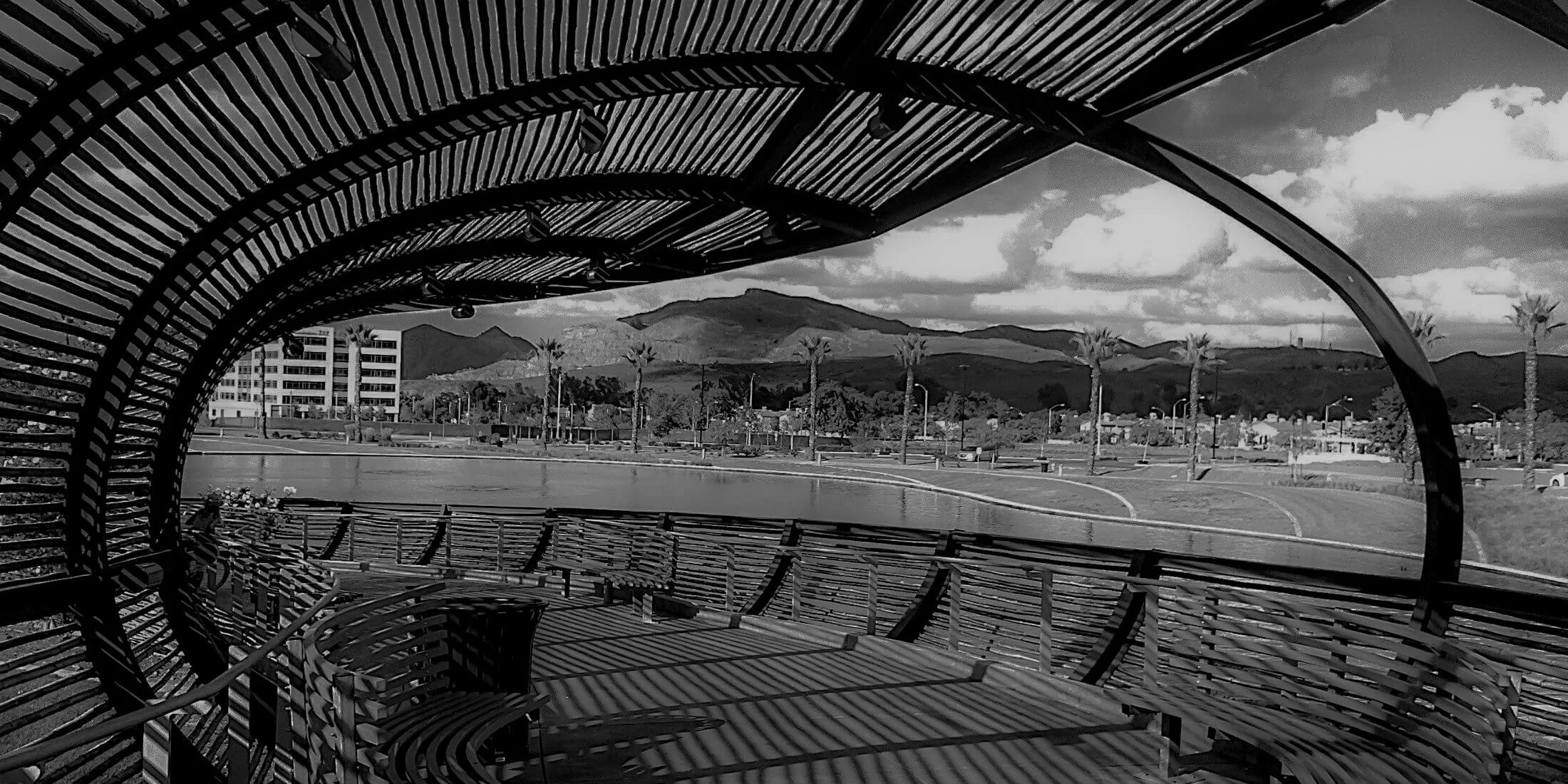banner-2-bw.jpg