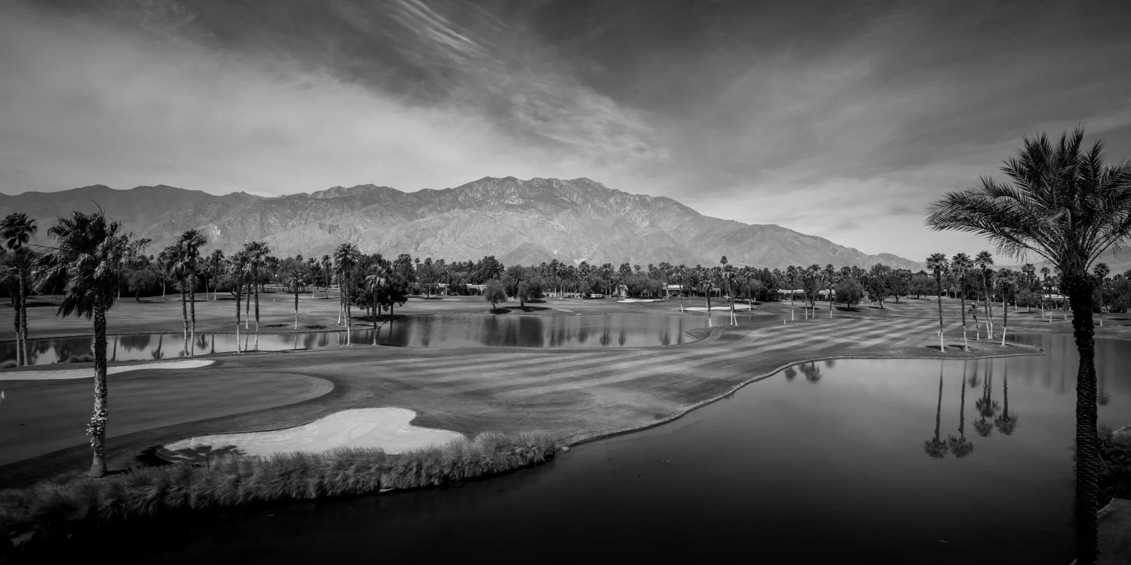 banner-7-bw.jpg