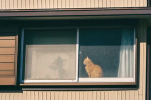 Selling a House With Pets in Lansdale, PA: 5 Tips Before Listing