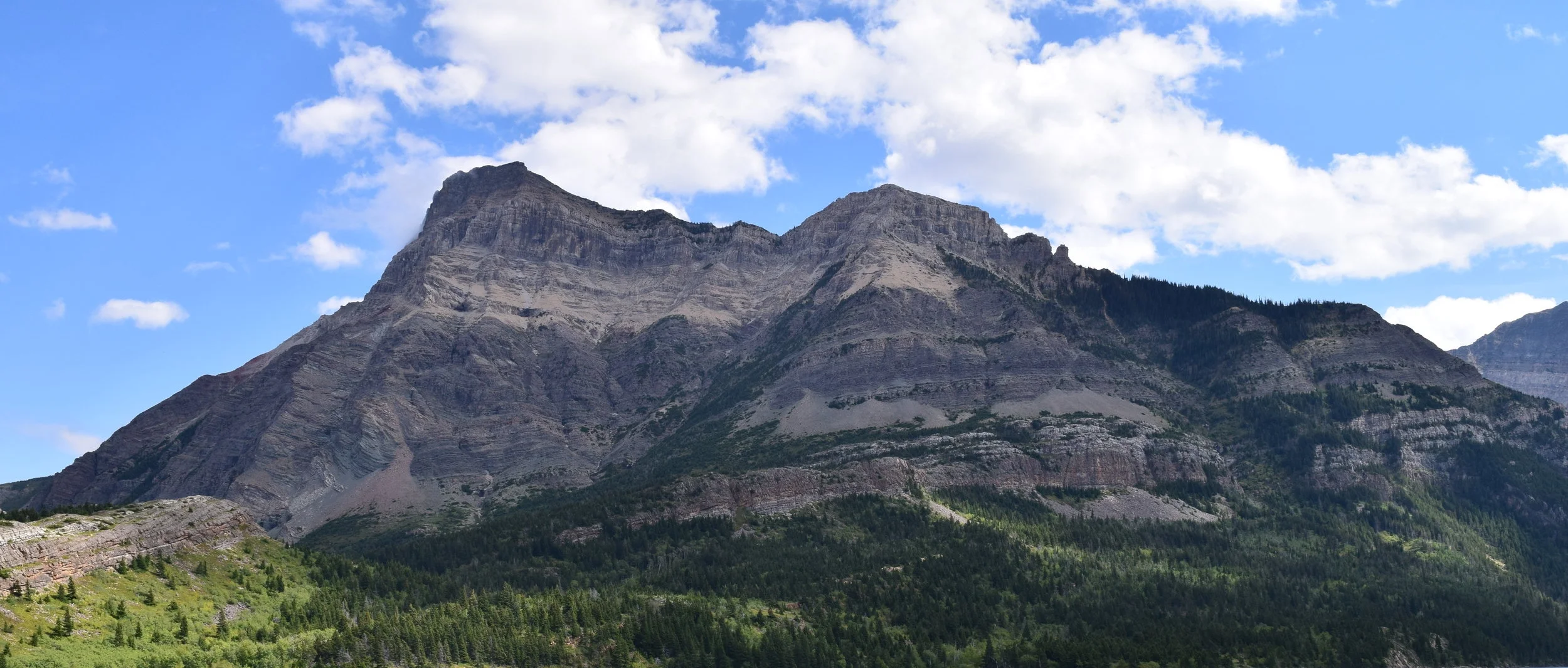 DSC_0714.JPG