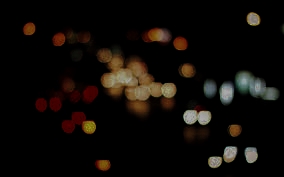 garden-night.jpeg