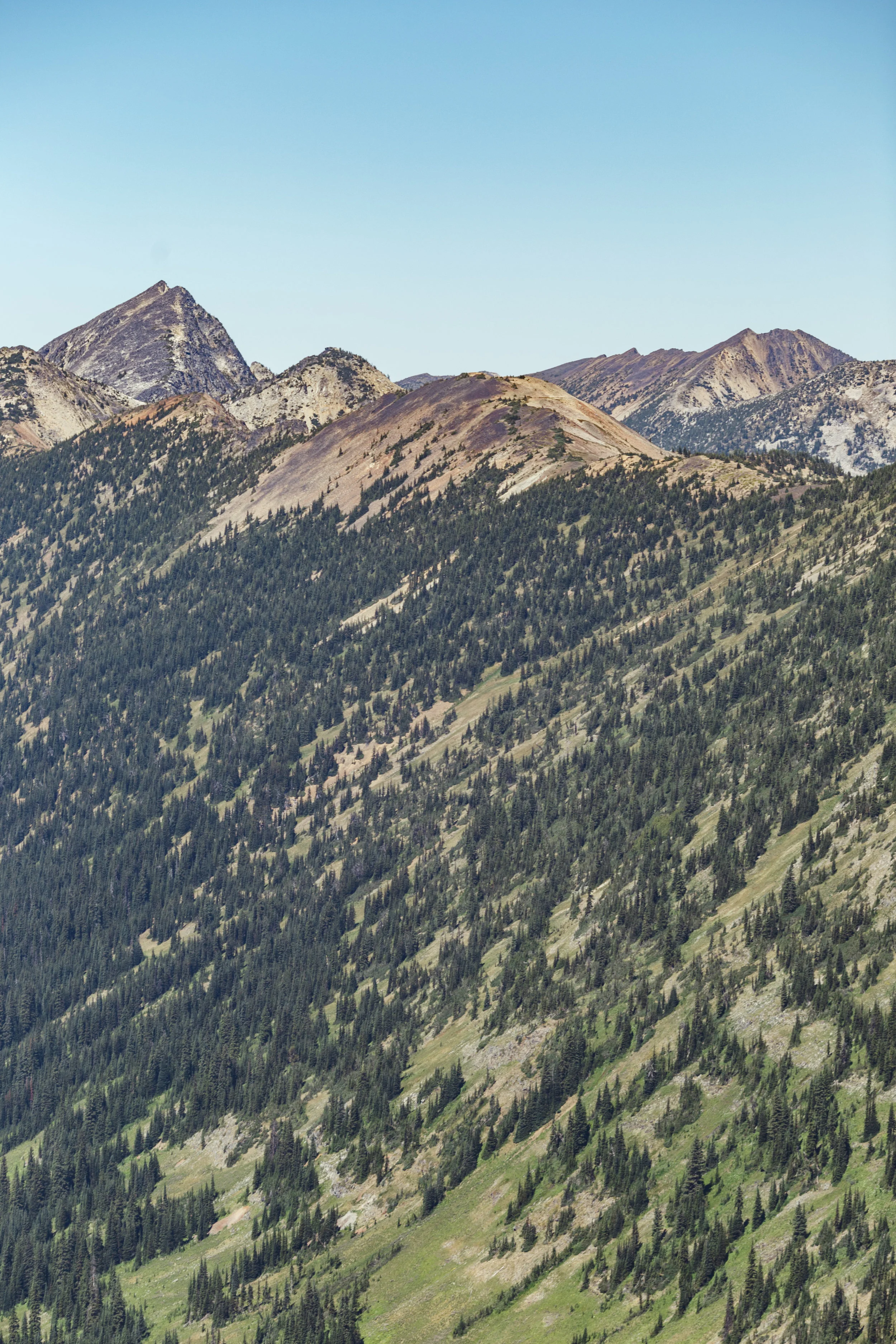 IMG_0962_raw_13.jpg