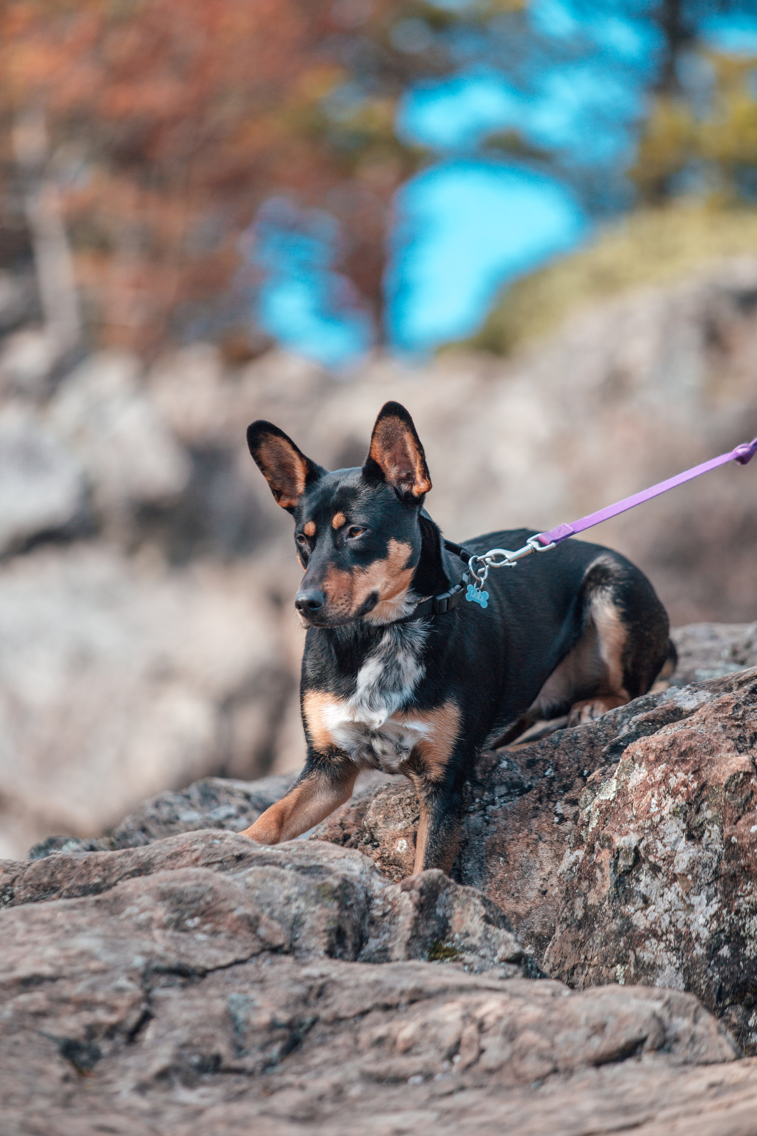 LittleSi-2018Mar-8943-4web.jpg