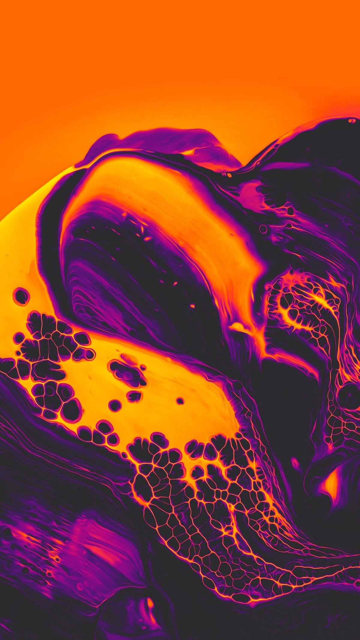 IMG_7917.png