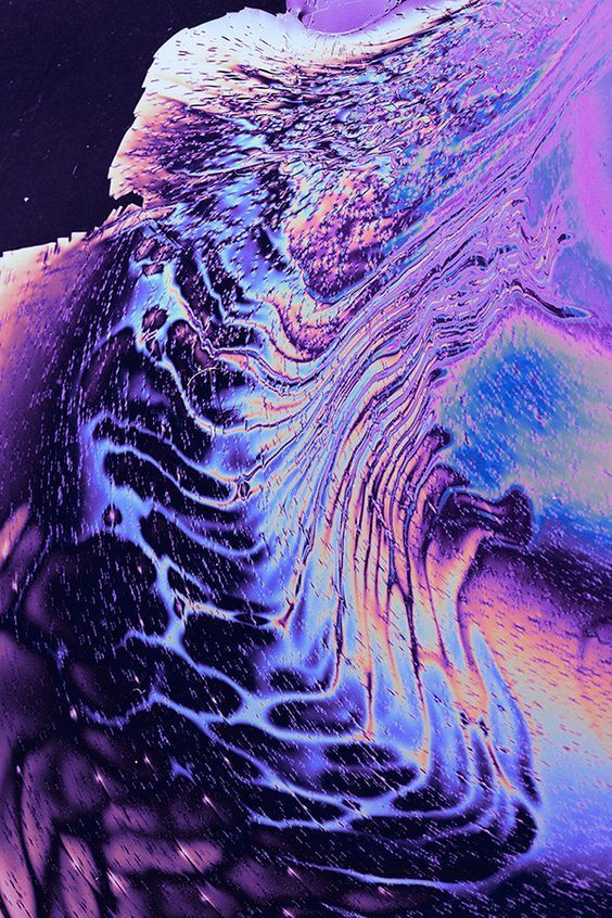 IMG_5615.png