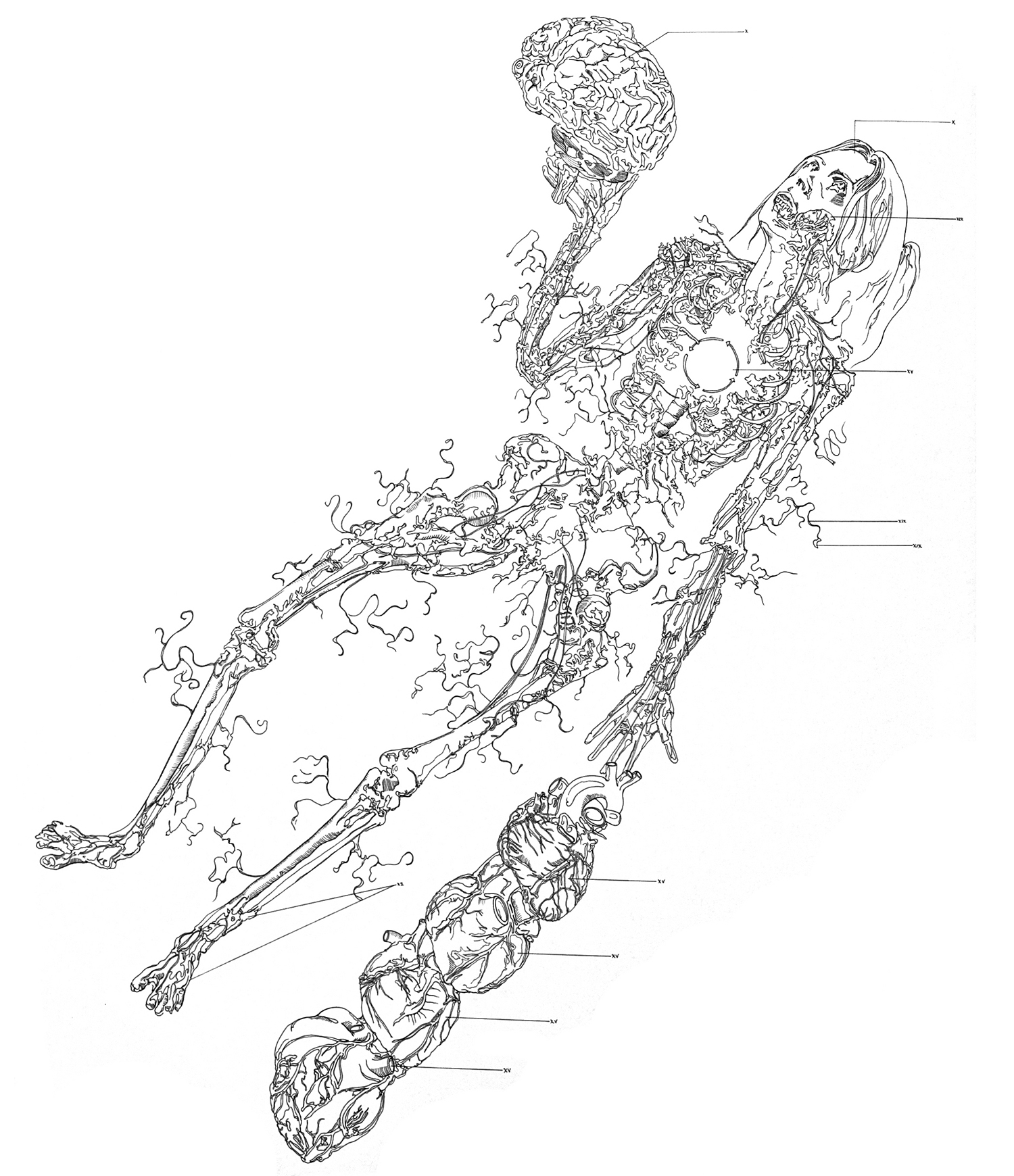 Zombie, examined