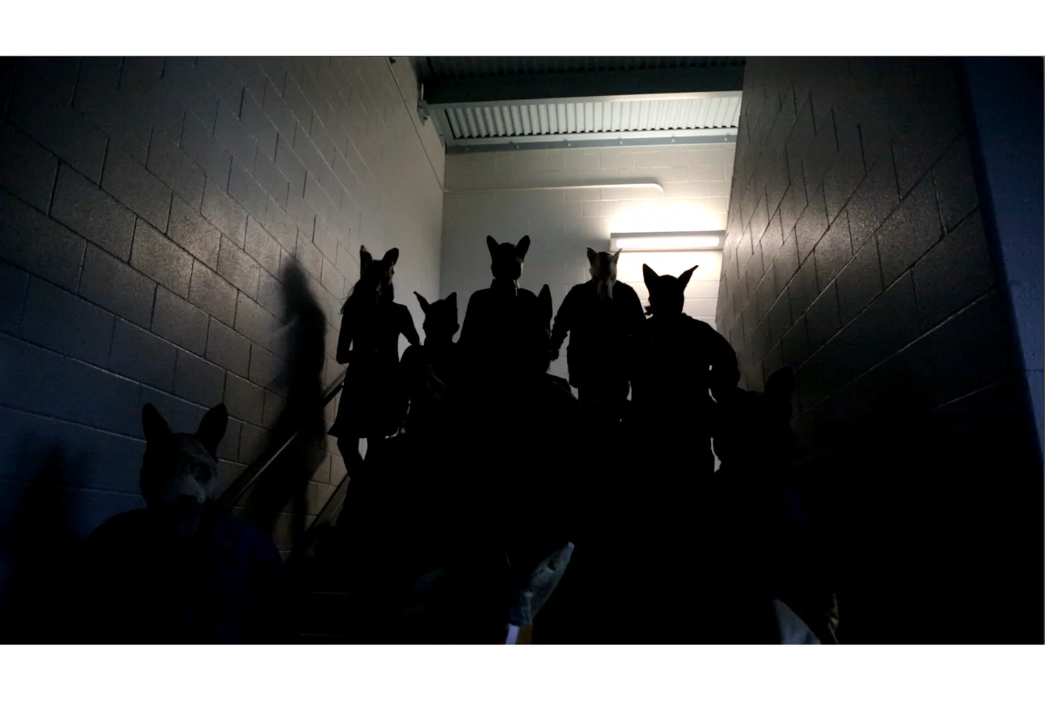 Stampede-D-Backlit-Take1.jpg