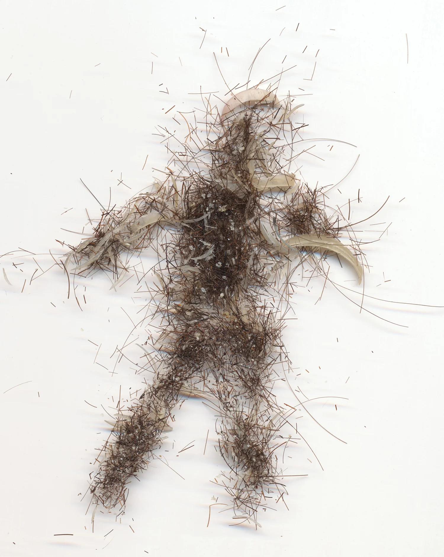 Self Replacing Body Trace (Slough)