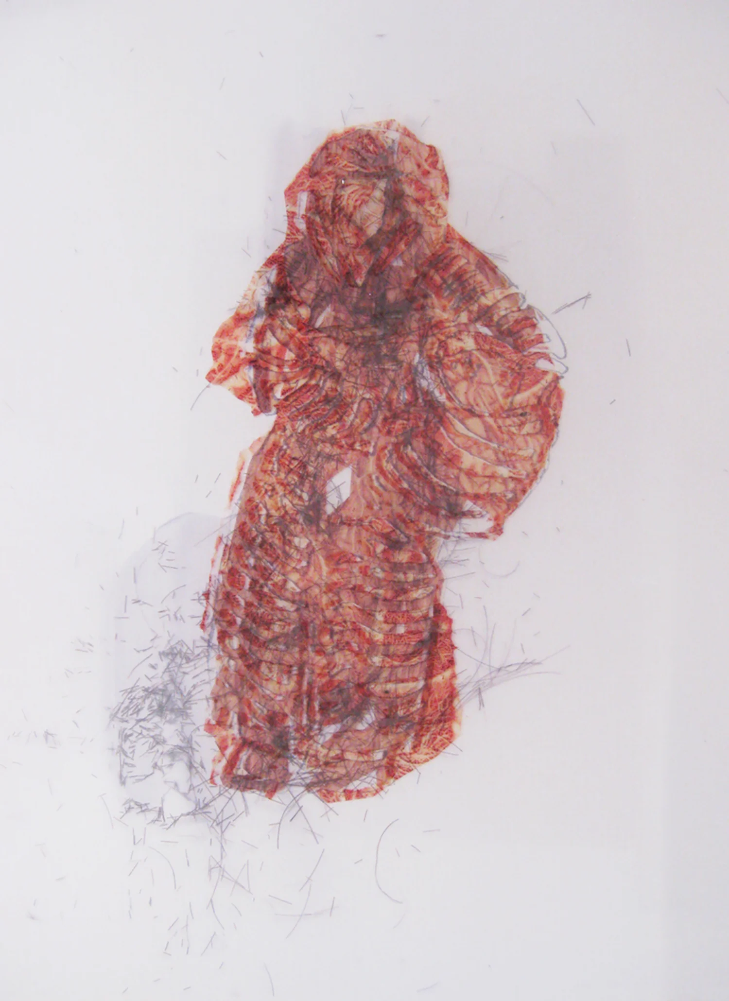 Ancestral Palimpsest