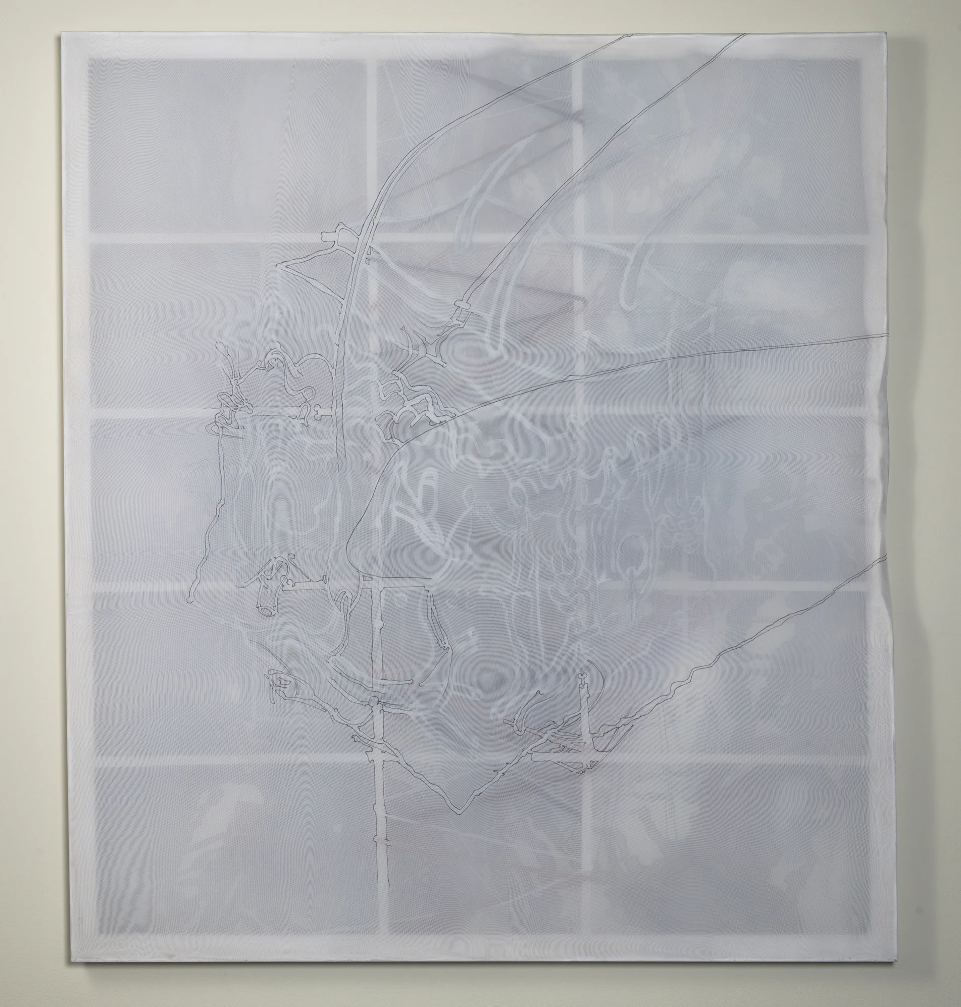 Decomposing Eternally, Rendered Membrane, Interstitial Screen