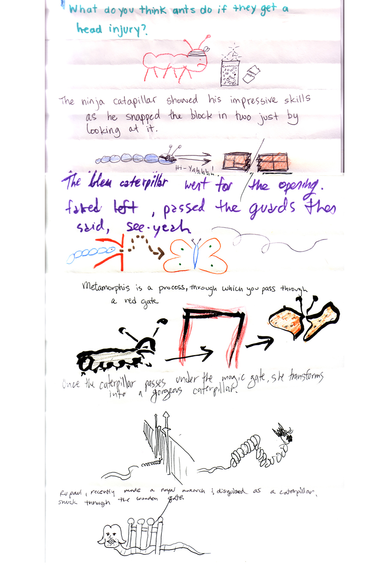 08-SDS-metamorphosis.jpg