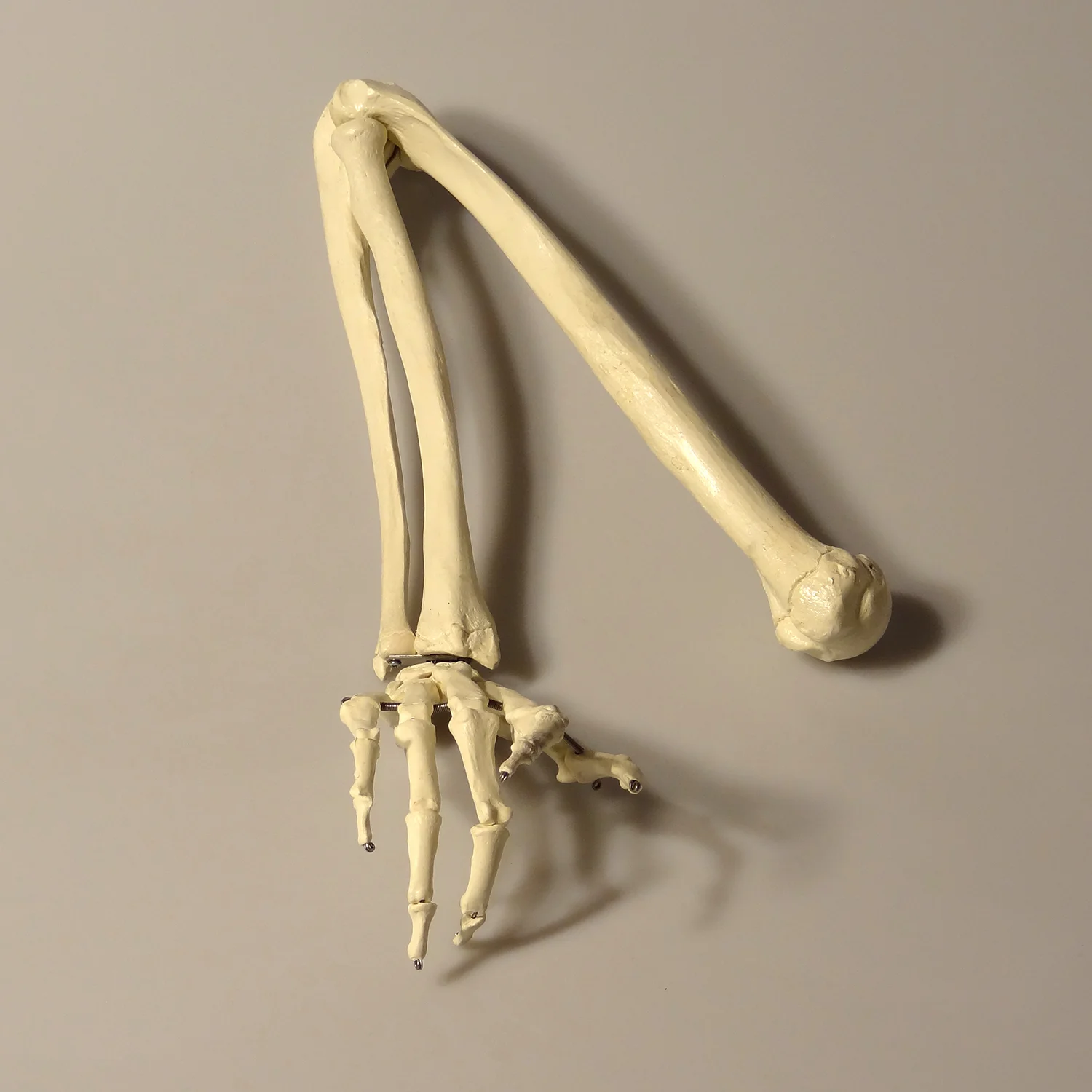 p-arm-finger.jpg