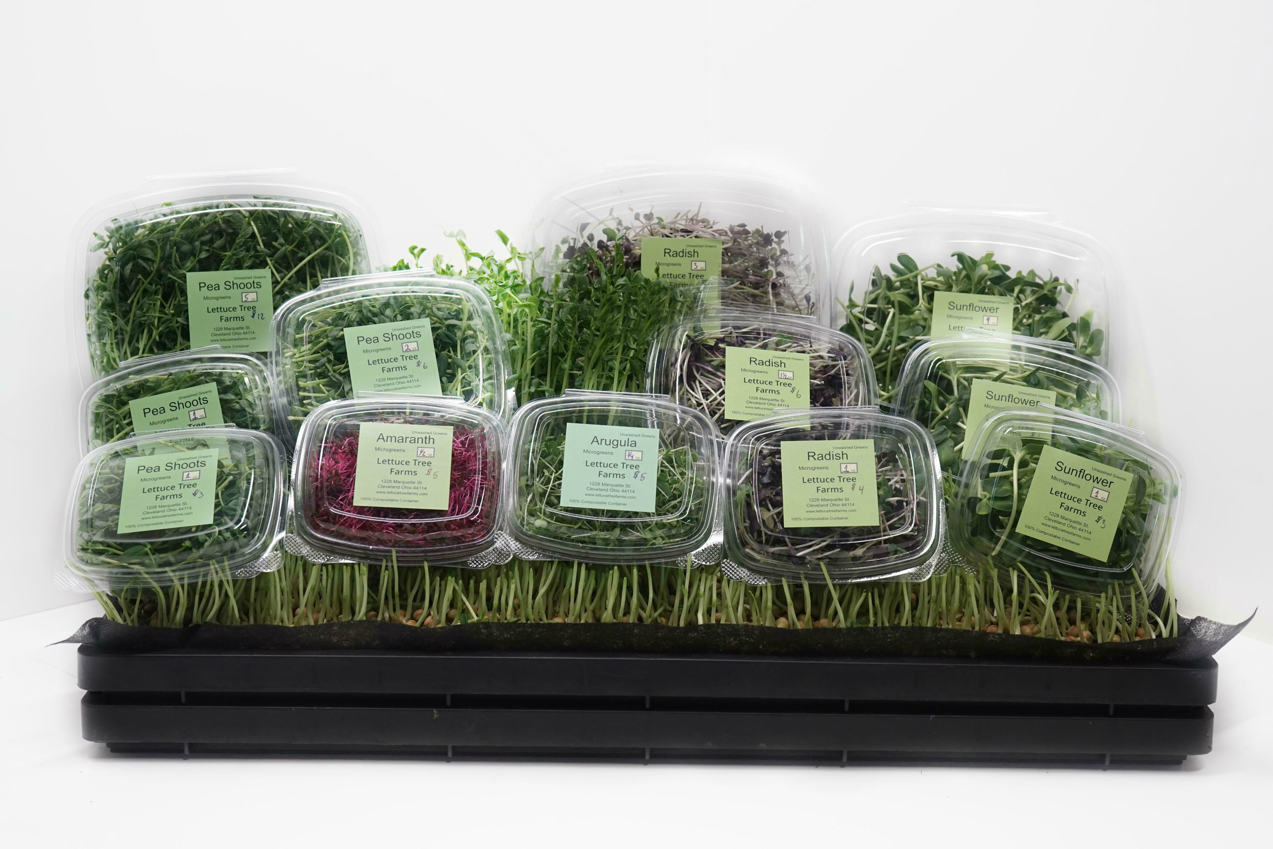 Frequently Asked Questions — Lettuce Tree Farms