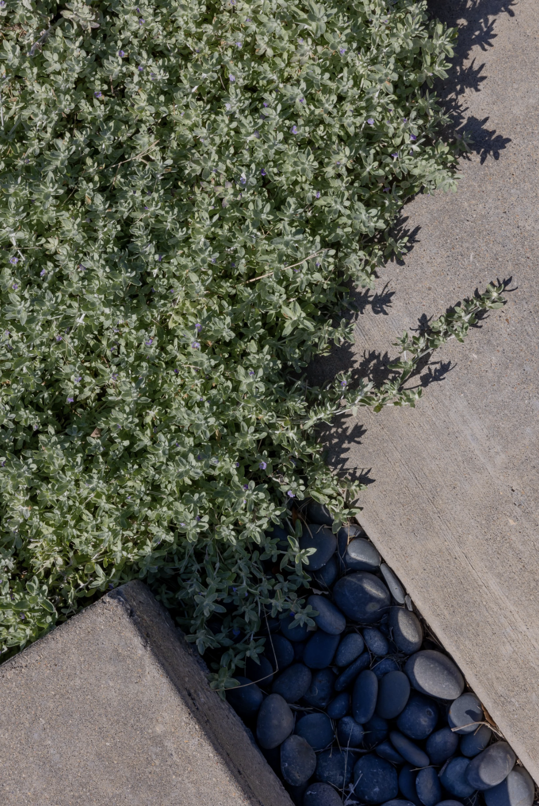 Screenshot 2025-10-04 at 7.44.28 PM.png