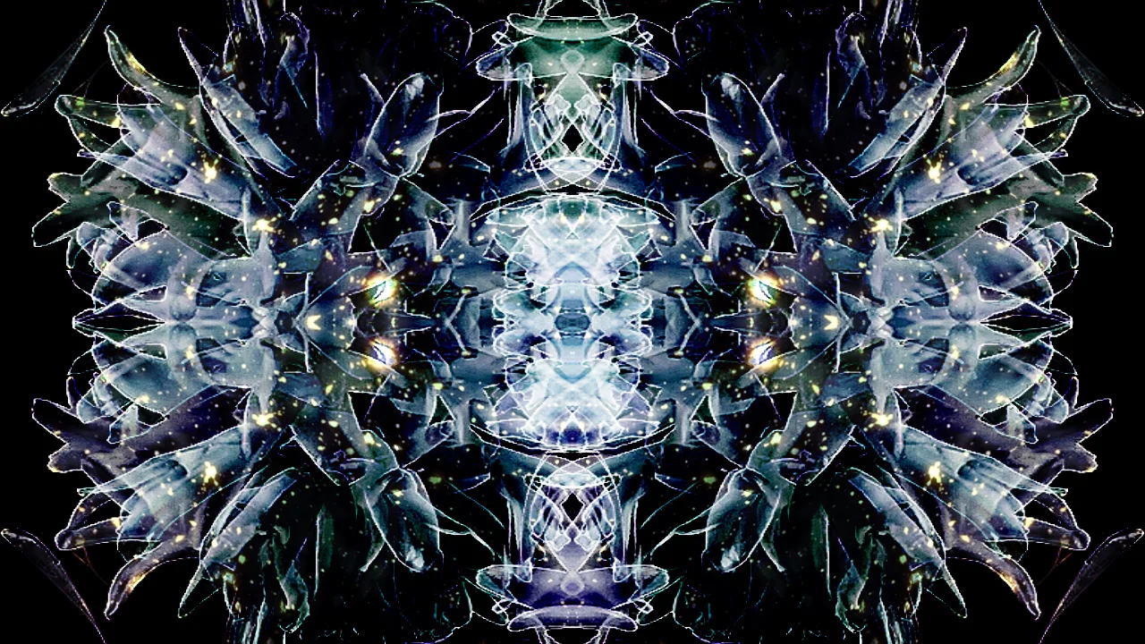 Sequence 14.00_00_03_17.Still001.jpg