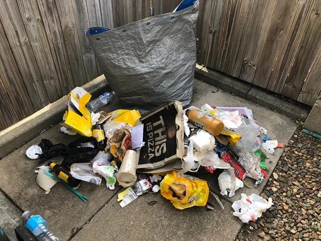 Today I decided to take a bigger bag than normal and I almost filled it up. Result: I did a few downward dogs, and bicep curls as the bag got a bit heavy too and of course left my neighbourhood a bit cleaner. Feeling awesome!!! This was from part of 