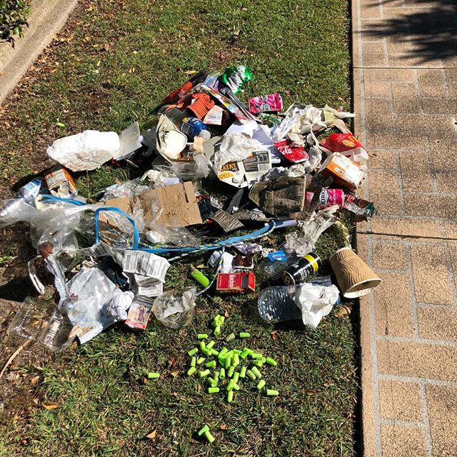 Saturday morning was freezing so I went plogging (jogging and picking up litter) again. This was all from Evans Rd,  Salisbury. Check out the gazillion little green things. I picked these up from outside one of the factories. The birds pick up these 